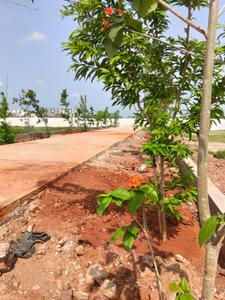 Image of 1353 Sq.ft Residential Plot / Land for sale in SUNSIRI THE ICON, Tadikonda, Guntur for Rs. 3675000