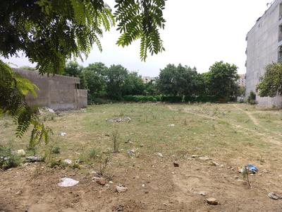 South City Floors 1 Plot View 2