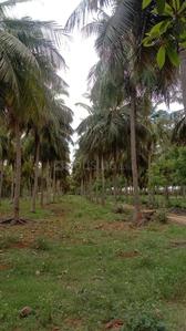 Image of 99999 Sq.ft Residential Plot / Land for sale in Kalayarkoil, Sivaganga for Rs. 300000000