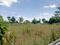 Boyalahalli Plot View 2
