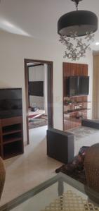 Hall Image of 1800 Sq.ft 3 BHK Builder Floor for rent in Safdarjung Enclave New Delhi for Rs. 150000
