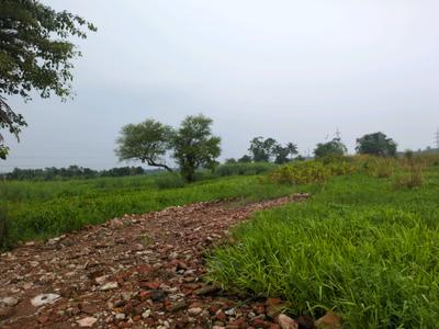 Wander Valley Main Image 1