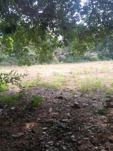 Image of 360 Sq.ft Residential Plot / Land for sale in Sector 47, Gurgaon for Rs. 110500000