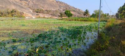 Image of 5989 Sq.ft Residential Plot / Land for sale in Harohalli, Ramnagara, Bengaluru for Rs. 7181411