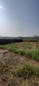 Bansdroni OA442 Plot View 2