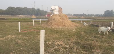 Image of 1410 Sq.ft Residential Plot / Land for sale in Raiganj, Gorakhpur for Rs. 2200000