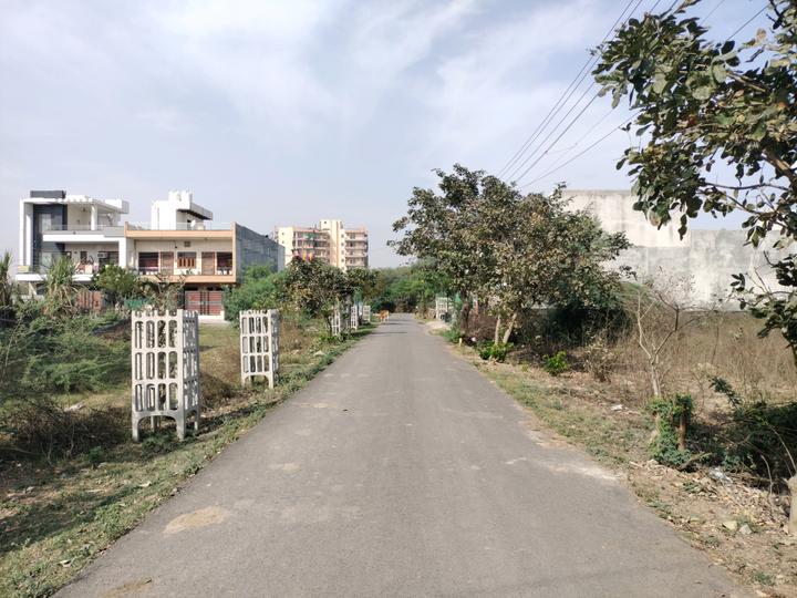 Sector 65 Main Image 1