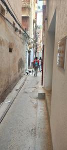 Image of 630 Sq.ft 2 BHK Apartment / Flat for rent in Lalbagh, Patna for Rs. 15000