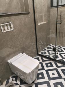 Common Bathroom Image of 2700 Sq.ft 4 BHK Builder Floor for sale in DLF City Floor Phase 2, DLF Phase 2 Gurgaon for Rs. 50000000