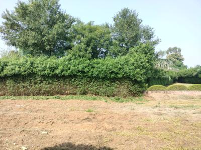 Image of 1080 Sq.ft Residential Plot / Land for sale in Mansha Oaks, Sector 98, Faridabad for Rs. 16000000