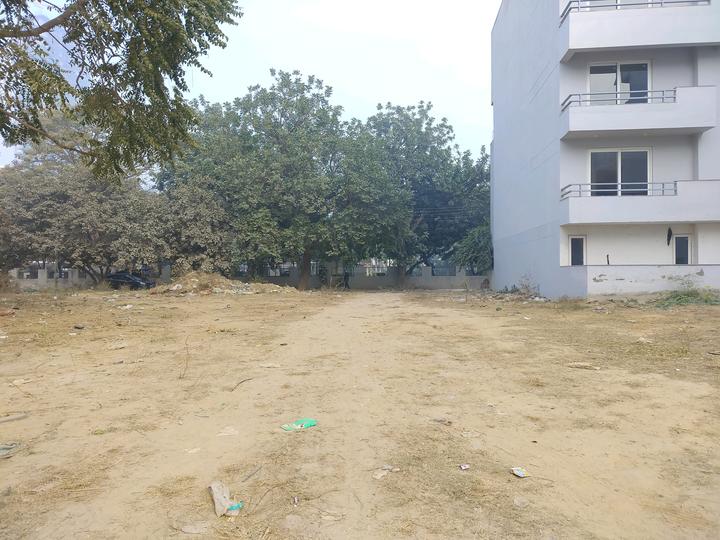 New Colony Main Image 1