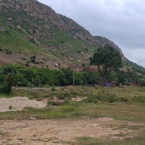 Patligram phase lll  Plot View 3