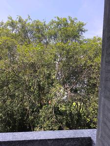Bedroom Five Image of 3150 Sq.ft 5 BHK Apartment / Flat for sale in Vajarahalli Bengaluru for Rs. 29000150