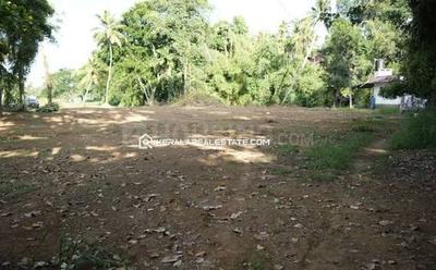 Chittur Plot View 3