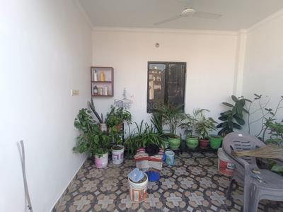 Hall Image of 1250 Sq.ft 2 BHK Builder Floor for rent in Gomti Nagar Lucknow for Rs. 20000