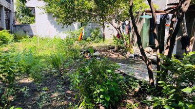Mehrun Plot View 3