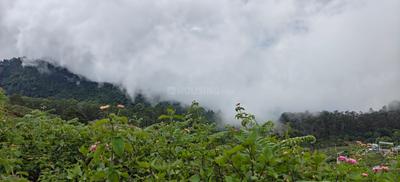 Image of 3539 Sq.ft Residential Plot / Land for sale in Shenbaganur, Kodaikanal for Rs. 9197861