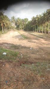 Residential Plot
