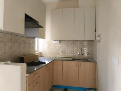 Kitchen Image of 750 Sq.ft 2 BHK Apartment / Flat for sale in Amrapali Dream Valley 2, Noida Extension Greater Noida for Rs. 6275000