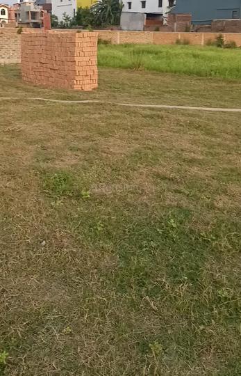 New Apna Vihar Main Image 1