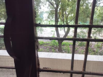 Balcony Image of 3042 Sq.ft 6 BHK Independent House for sale in Sector 40 Gurgaon for Rs. 55000000