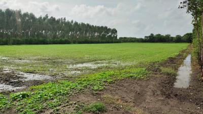 Image of 6100 Sq.ft Residential Plot / Land for sale in Agol, Mehsana for Rs. 32250000