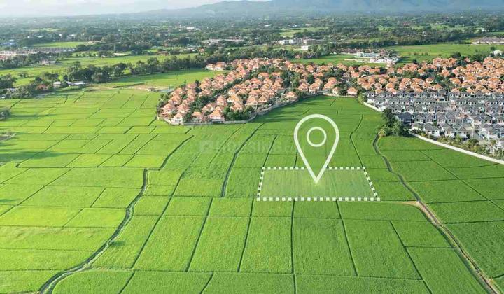 Bilasiya Main Image 1