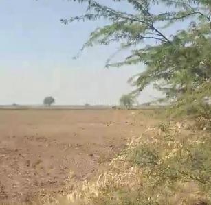 Image of 101 Sq.ft Residential Plot / Land for sale in Dholera, Ahmedabad for Rs. 900000