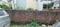 IIP, Mohkampur Main Image 1