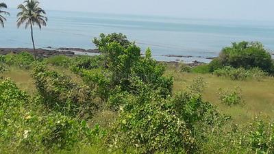 Shrivardhan Plot View 1