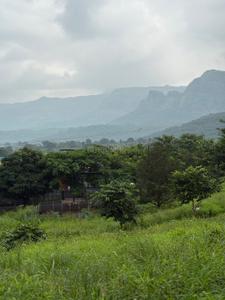 Image of 2428 Sq.ft Residential Plot / Land for sale in Mulashi, Raigad for Rs. 295000