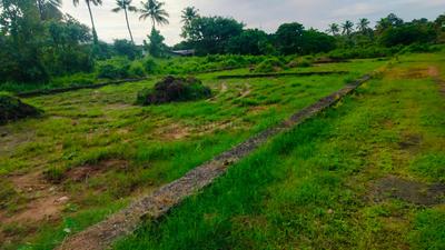 keralarealty Plot View 3
