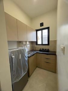 Kitchen Image of 681 Sq.ft 1 BHK Apartment / Flat for rent in Vijay Nagar Indore for Rs. 18000