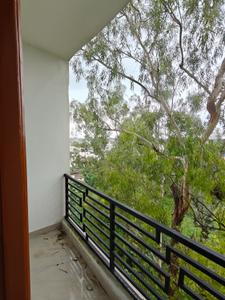 Balcony Image of 850 Sq.ft 3 BHK Apartment / Flat for rent in NawabGanj Hazaribagh for Rs. 12000