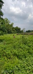 Image of 1500 Sq.ft Residential Plot / Land for sale in Gamharia, Jamshedpur for Rs. 1000000