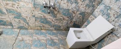 Bathroom Image of 600 Sq.ft 2 BHK Independent House for rent in Hulimavu Bengaluru for Rs. 22000