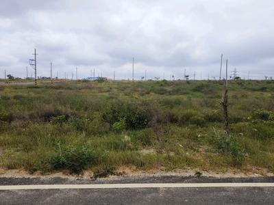 Residential Plot