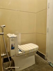 Common Bathroom Image of 900 Sq.ft 3 BHK Apartment / Flat for sale in Saarthi Affordable Homes, Bindapur New Delhi for Rs. 7100000