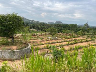 Image of 5989 Sq.ft Residential Plot / Land for sale in Harohalli, Ramnagara, Bengaluru for Rs. 7181411