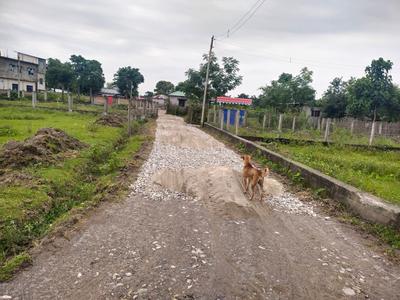 Image of 720 Sq.ft Residential Plot / Land for sale in Ranidanga, Siliguri for Rs. 600000