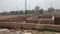 Parv Residency Sector 115 Main Image 1