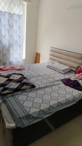 Bedroom Image of 490 Sq.ft 1 RK Apartment / Flat for rent in Logix Blossom Zest, Sector 143 Noida for Rs. 22000