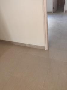 Bedroom Image of 1650 Sq.ft 3.5 BHK Apartment / Flat for sale in Sector 65 Gurgaon for Rs. 32500000