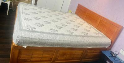 Bedroom Image of 1100 Sq.ft 2 BHK Apartment / Flat for sale in Amrapali Sapphire, Sector 45 Noida for Rs. 13600000