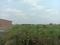 Joka wander valley Plot View 2