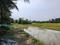 Golden city 2 Plot View 1