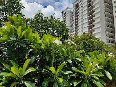 Image of 2935 Sq.ft 4 BHK Apartment / Flat for sale in SMR Vinay Iconia Phase II Block 4 Is Named As Shivalik, Kondapur, Hyderabad for Rs. 28100000