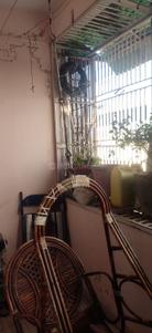 Balcony Image of 810 Sq.ft 2 BHK Apartment / Flat for sale in Shankar Nagar Society Mehsana for Rs. 1700000