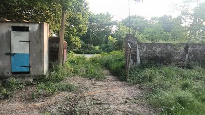 Image of 5184 Sq.ft Residential Plot / Land for sale in Pamarru, Krishna for Rs. 8640000