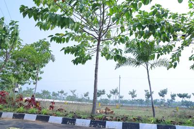 Image of 183 Sq.ft Residential Plot / Land for sale in Bheemunipatnam, Visakhapatnam for Rs. 5133000